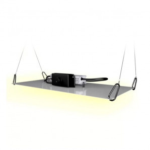 Jungle LED Jackson 150W 