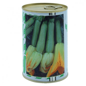 SV Dovlecel &quot;Squash Oriente F1&quot; 100 g