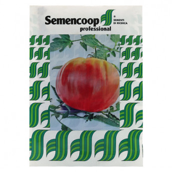 SV Tomate &quot;Ciccio Homestead&quot; 1000 de seminte