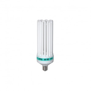 Lampa ESL pentru crestere 250w