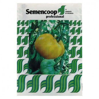 SV Tomate &quot;Yellow Gazzi Ribbed&quot; 1000 de seminte