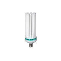 Lampa ESL pentru inflorire 250w