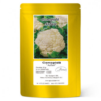 DS Conopida „Erfurt” 50 g