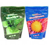 Seria Maxi Gro+Bloom