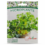 MG Ridiche &quot;Daikon&quot; 20 g