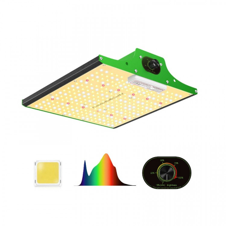 ViparSpectra P600 95W