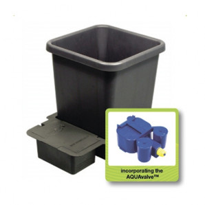 Numai modul 1Pot