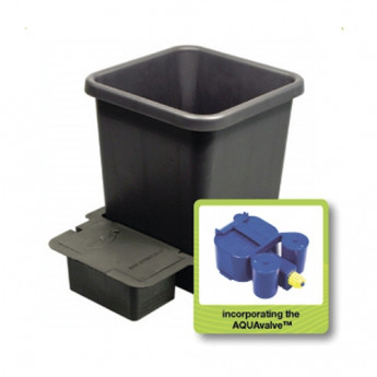 Numai modul 1Pot