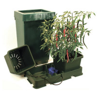 Kit Easy2grow