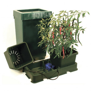 Kit Easy2grow