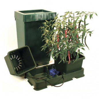 Kit Easy2grow