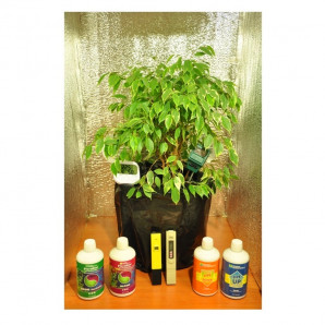 Cutie de cultură la cheie (pământ) DNaT Reflux 250 W /1 loc